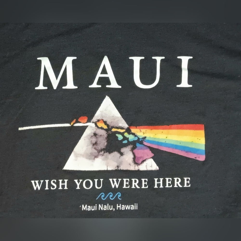 Maui Wish You Were Here Pink Floyd t-shirt Dark side of the Moon Hawaii